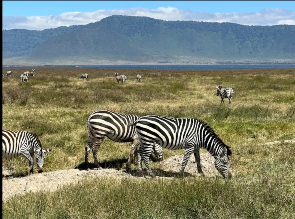ngorongoro crater