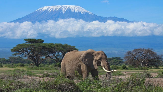 kilimanjaro-national-park
